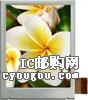 MTF-TQ28NN911-LBDƬ